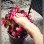 Fancy Feet avatar