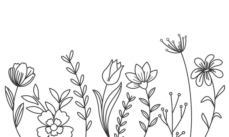 Nicole banner image