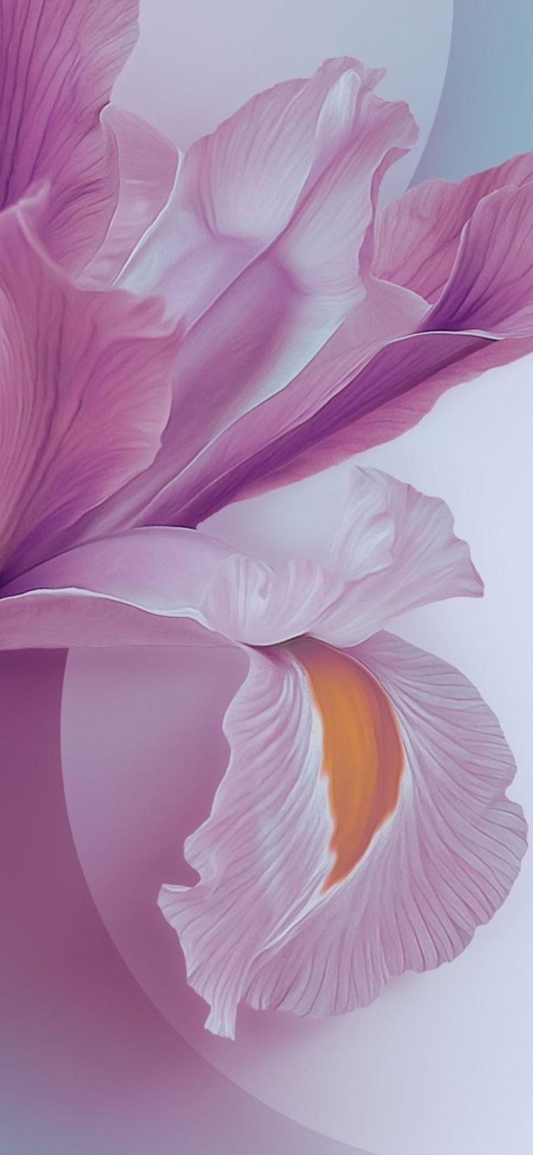 FannieGc cover image