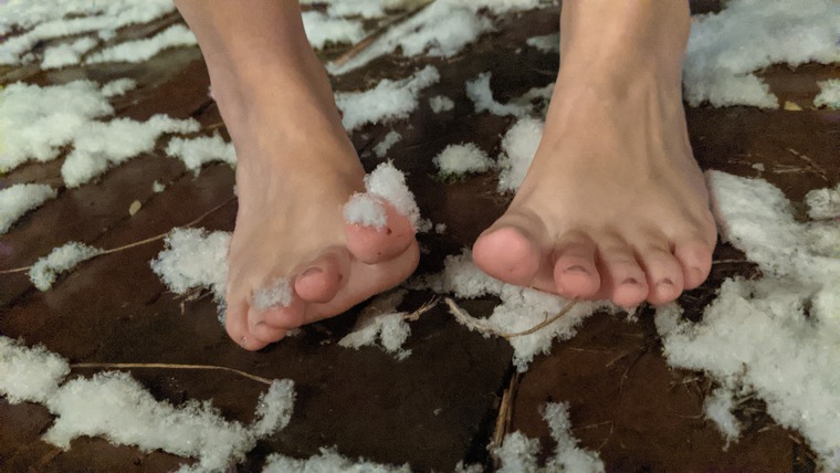 Farmcorefeet cover image
