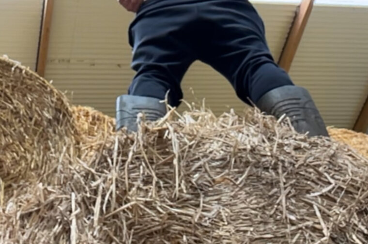 Darren the Farmer cover image