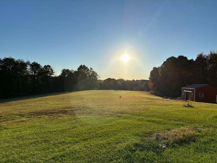 Farm Girl cover image