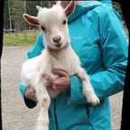 Farm Nurse Britt ✨️ avatar