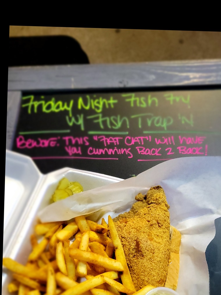 FISH TRAP'N cover image