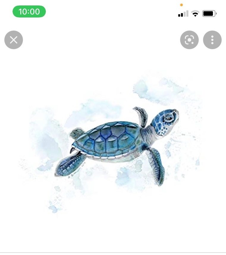 FatFreddy cover image