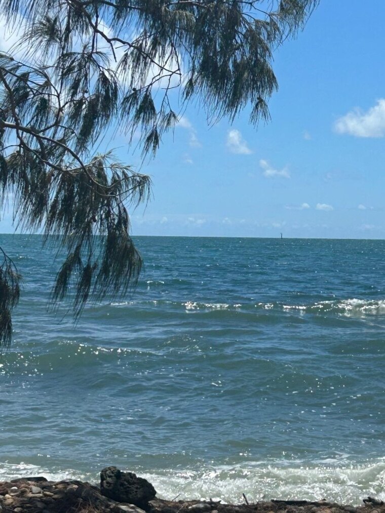 FAF cover image