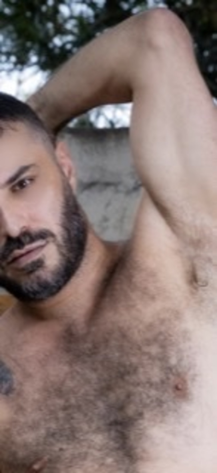 Bruno Fattori banner image