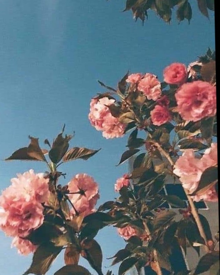FattyForYou banner image
