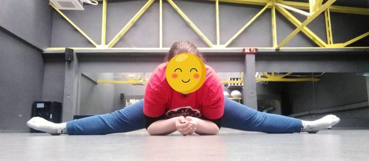 FattyWannabeSkinnyGirl cover image