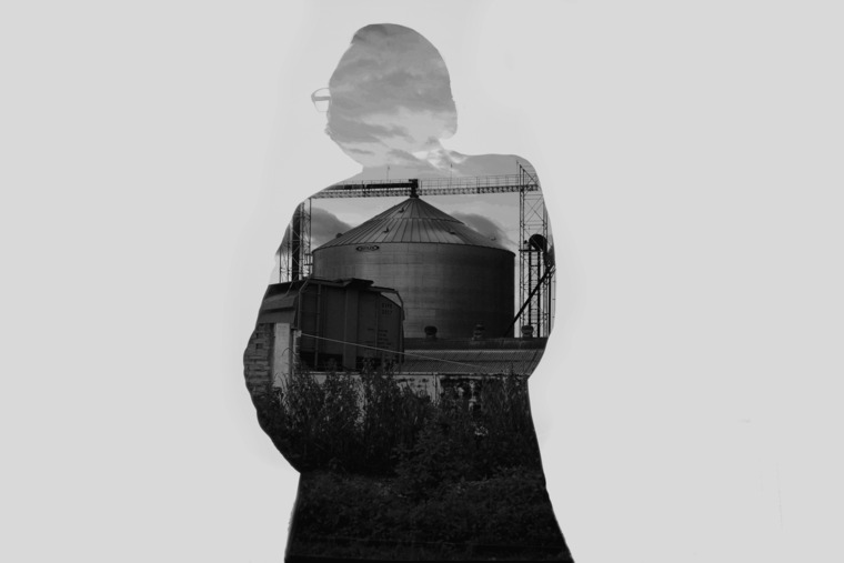FausVg cover image