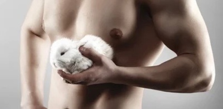 Fckd Bunny boy cover image