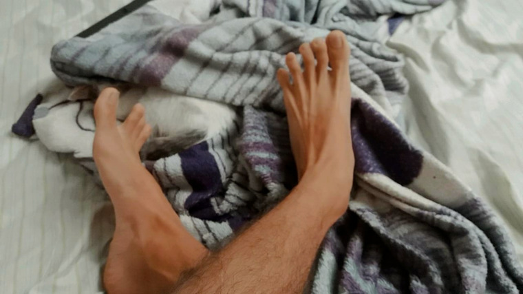 Miguel banner image