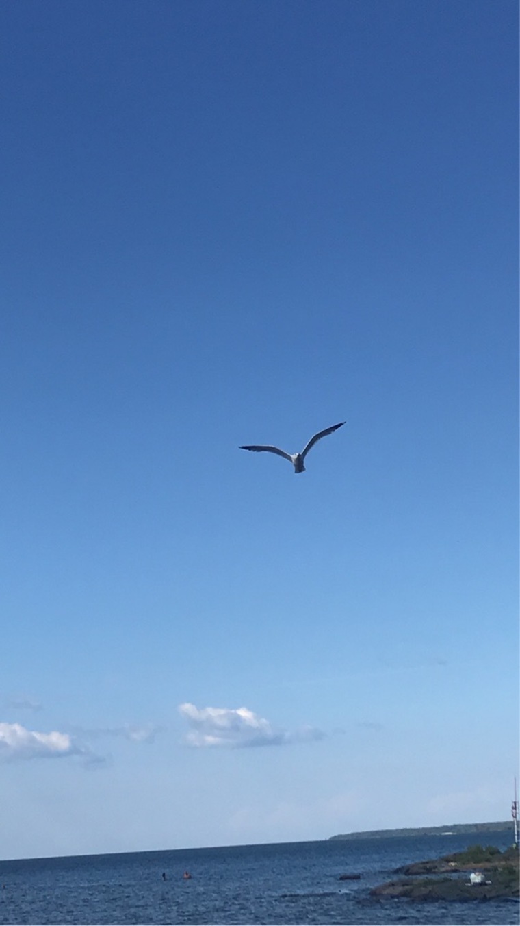 featuredguy banner image