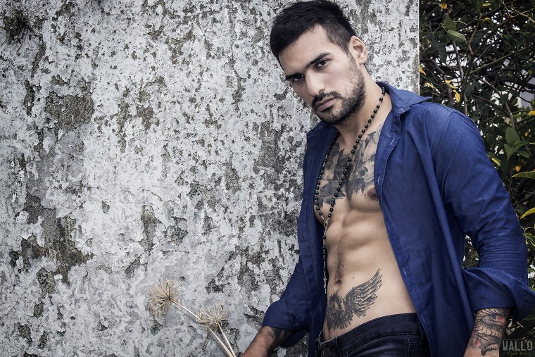 Fede banner image