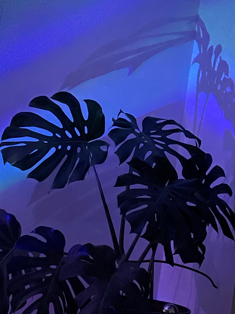 Feet Me cover image