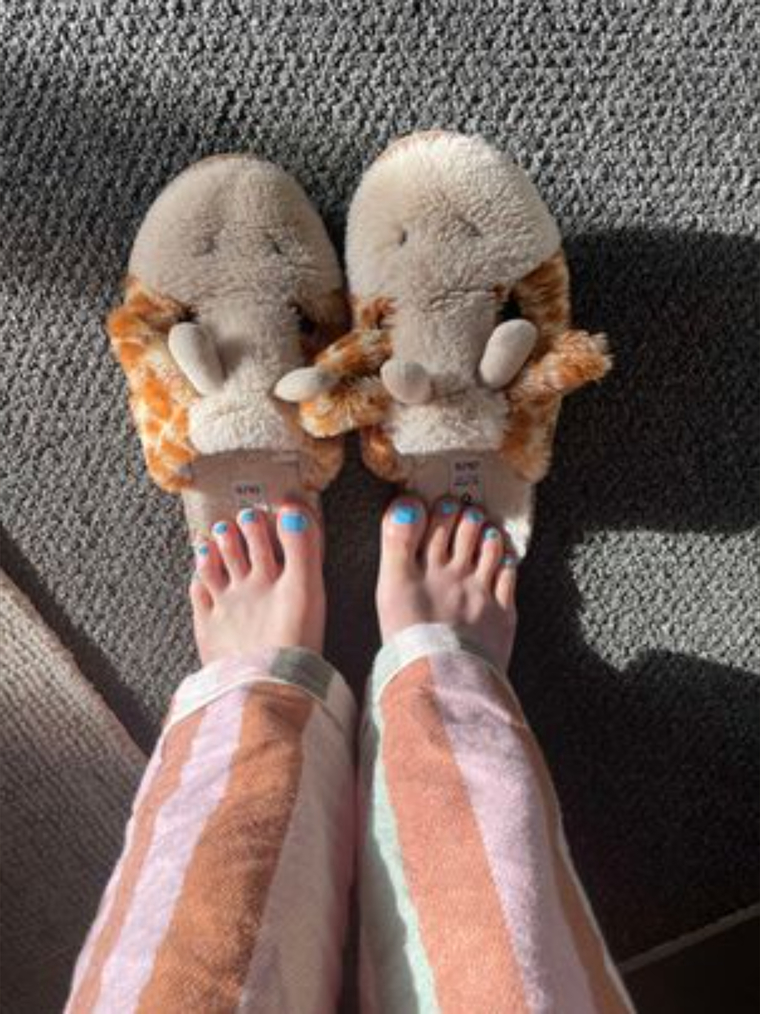 Frankie Feets cover image