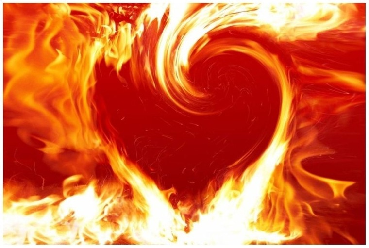 Fer Luz banner image