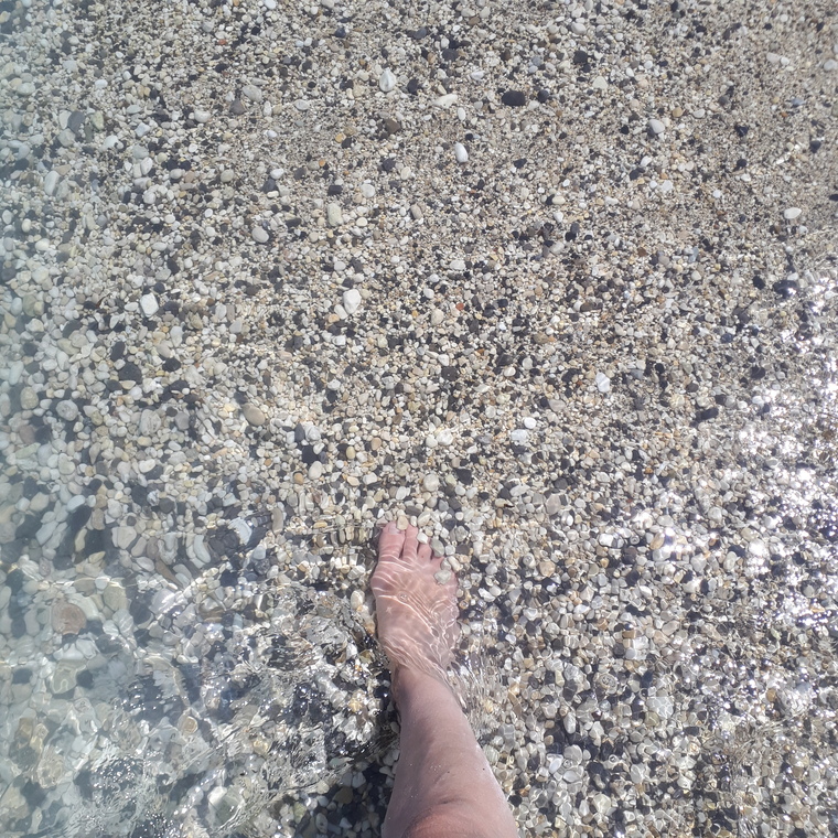 feet-eat banner image