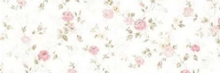 Ciangcita cover image