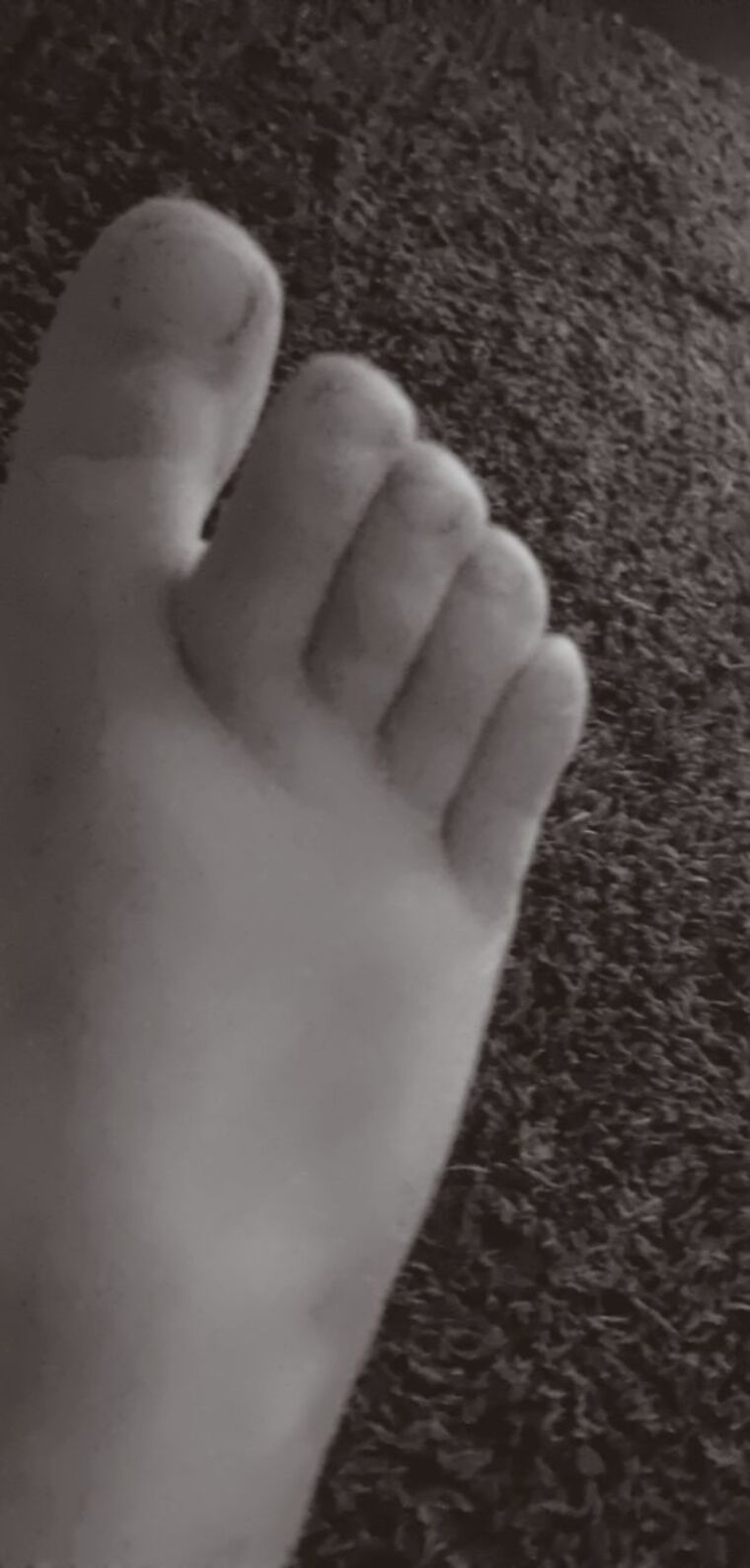 Cheekytoes cover image