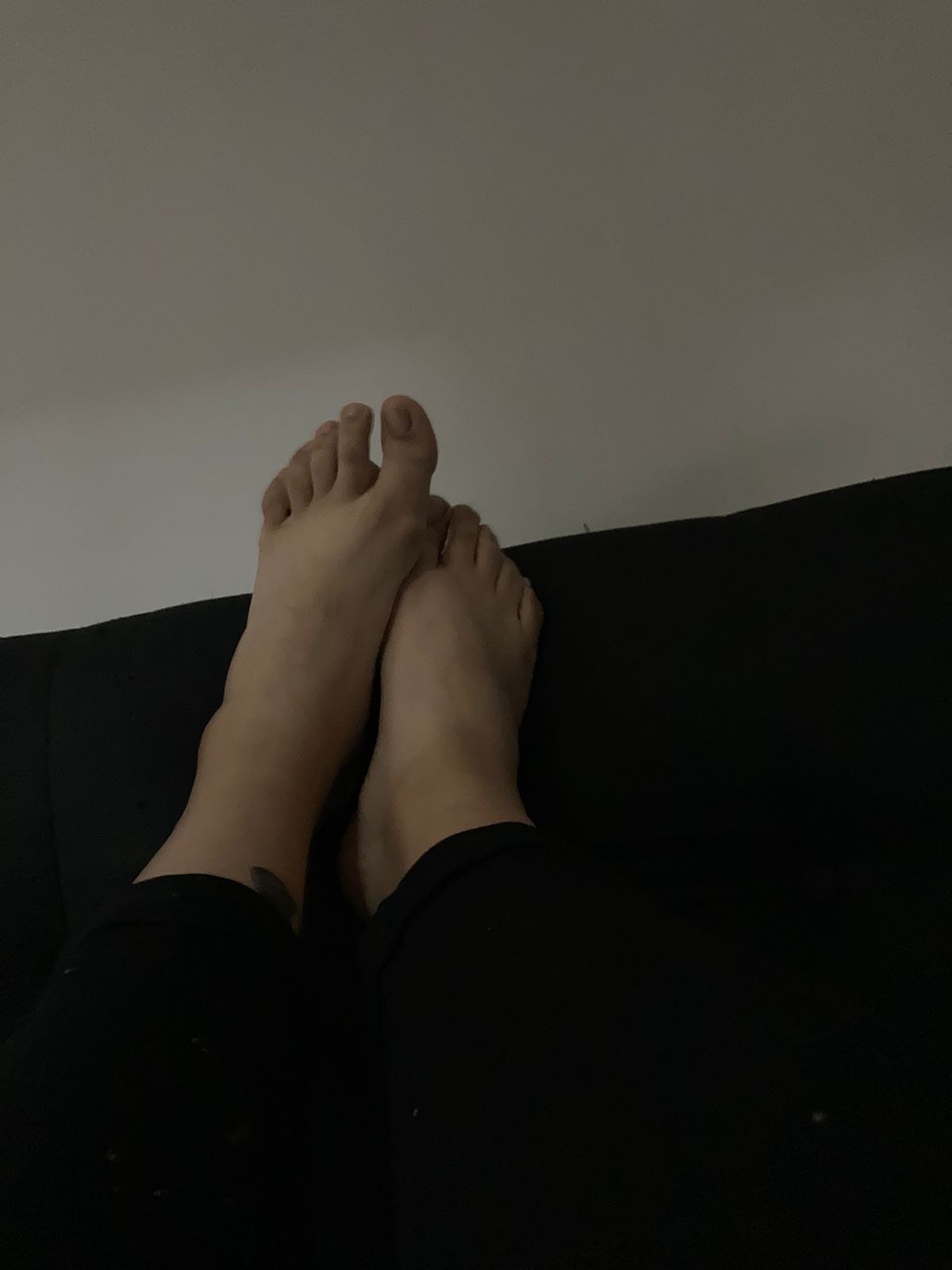 PandaFeet96 banner image