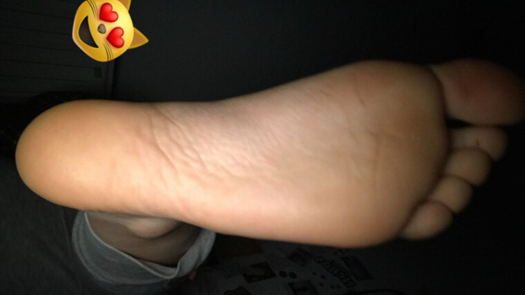 Feet Kitten Meow banner image