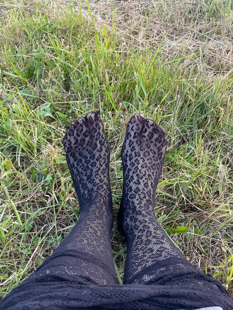 Feed of feet cover image