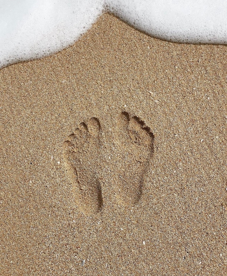 Feetalious cover image