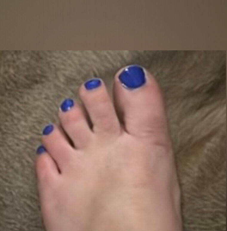 π
Brooke π
banner image