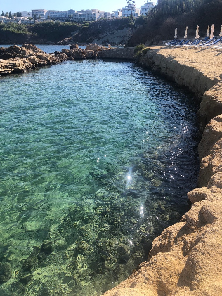 Filipa cover image