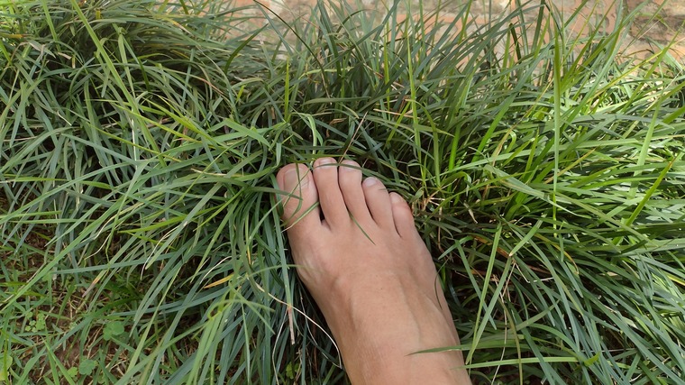 Brazilian Naughty Feet banner image