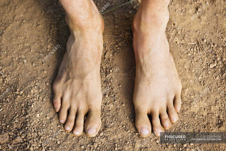 Daddies feet cover image