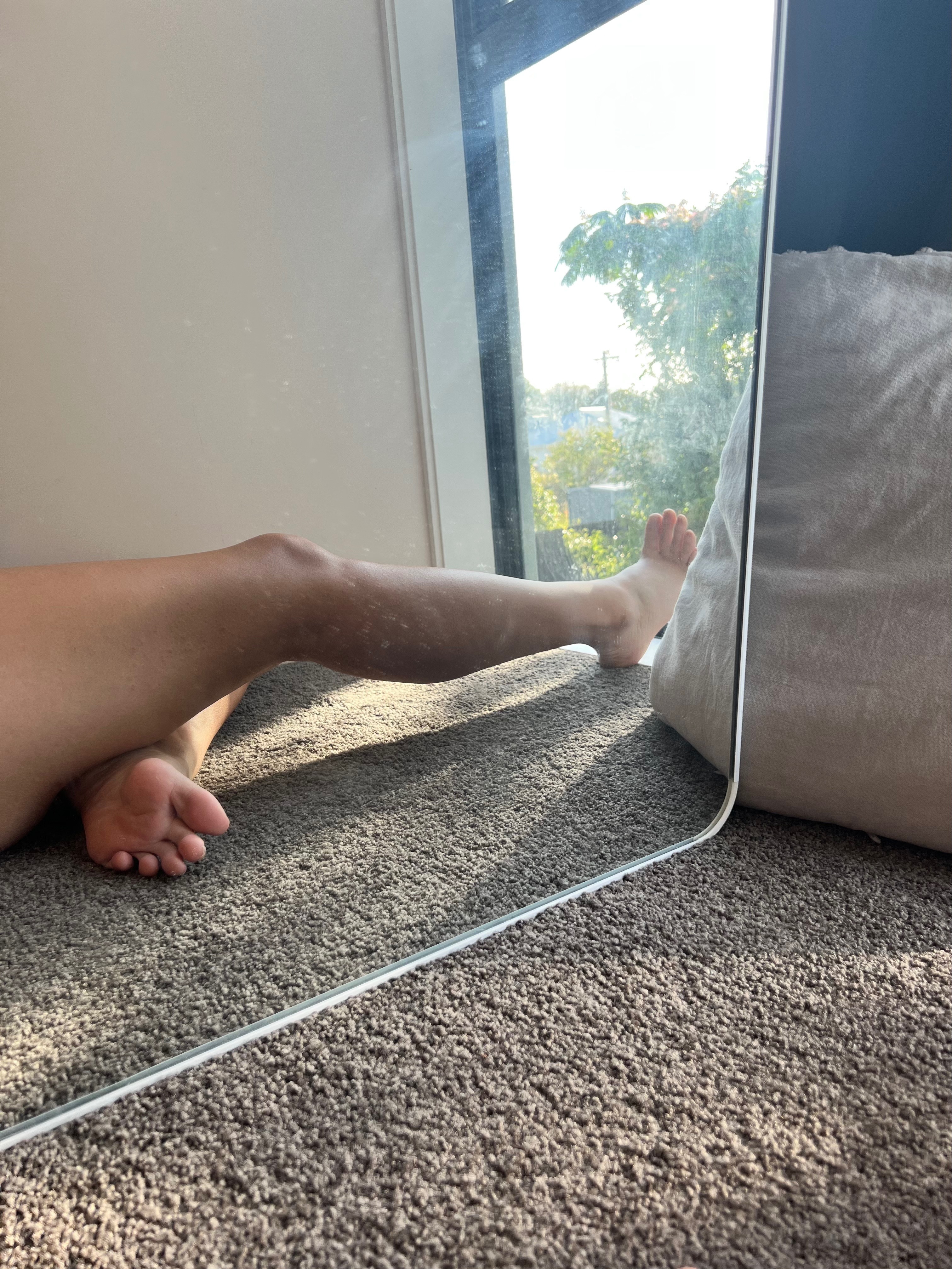 Furbaby banner image