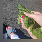 Angel Feet avatar