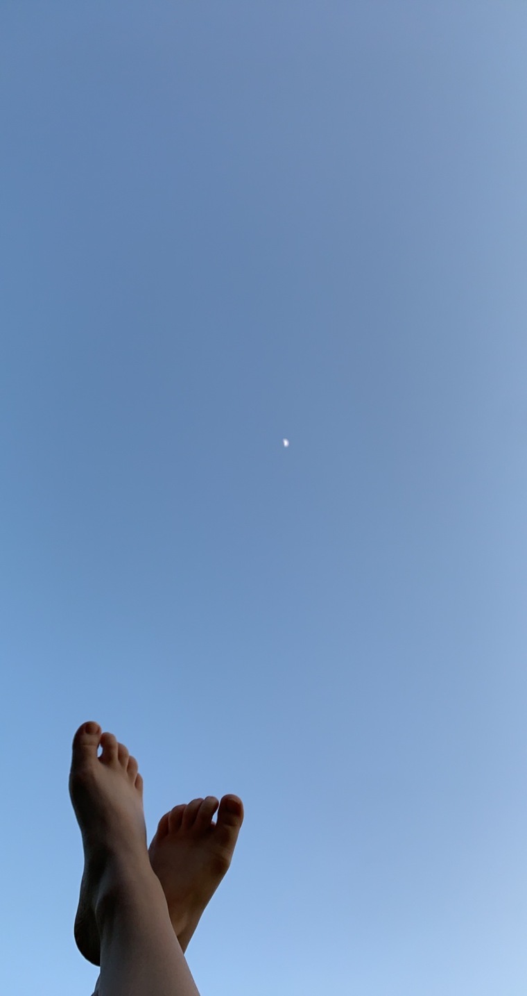 Feeteea banner image