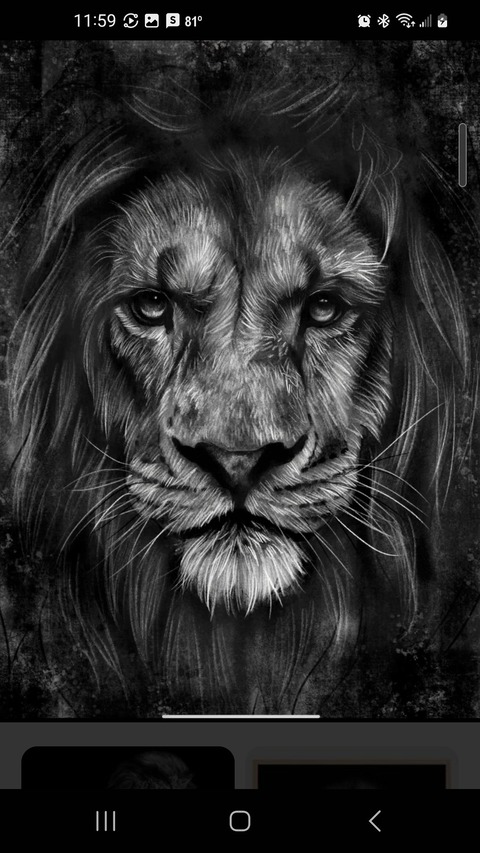 Feet Fetish Lion cover image