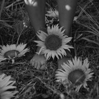 Feetfinnesse_goddesss avatar