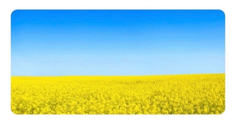 FeetFromUkraine cover image