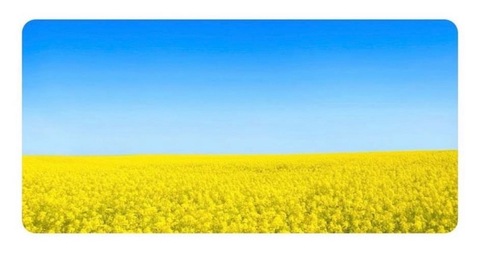 FeetFromUkraine cover image