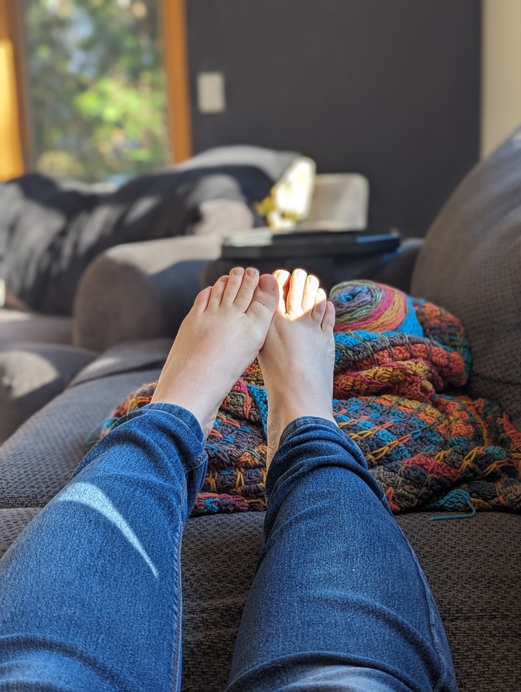 Feeties banner image