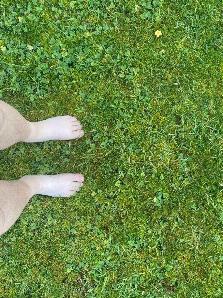 FeetInNature banner image