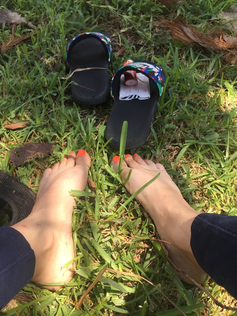 TinyToes banner image