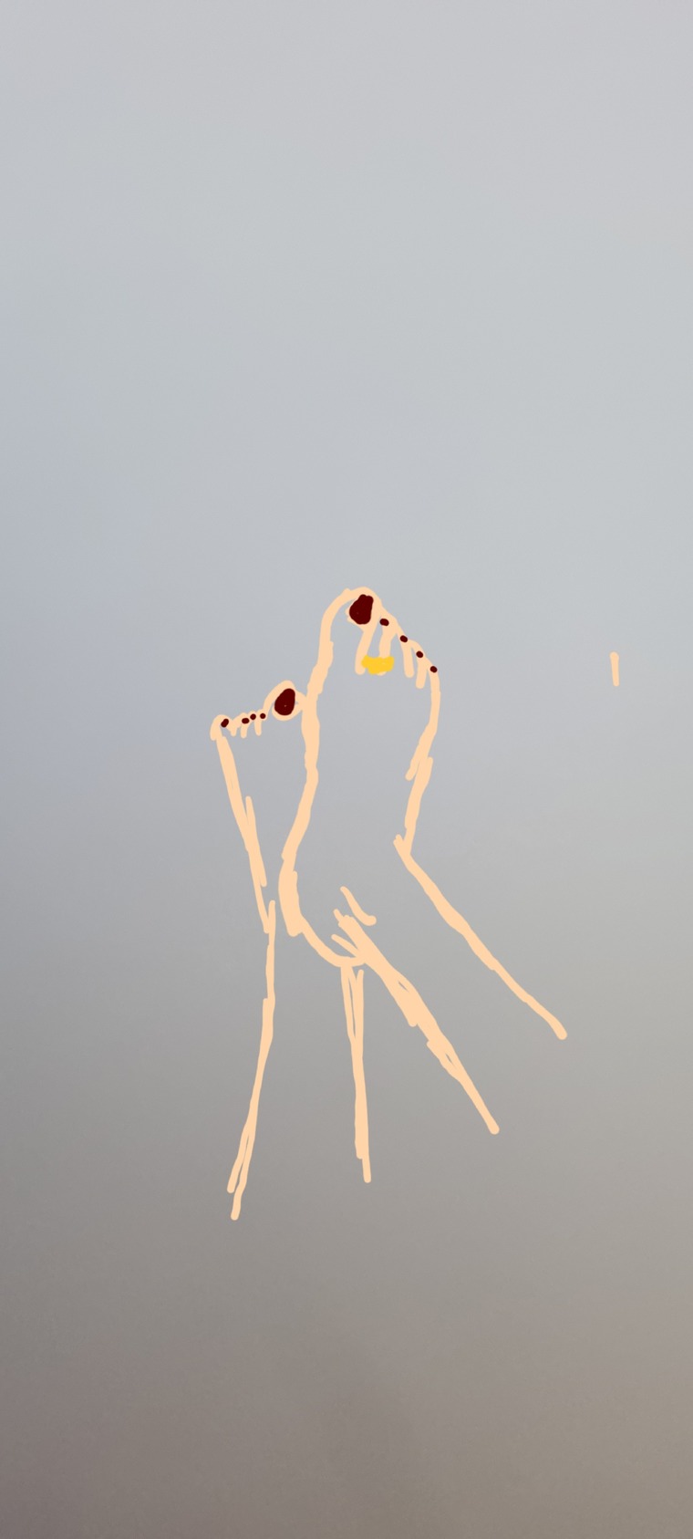 Feetishist cover image