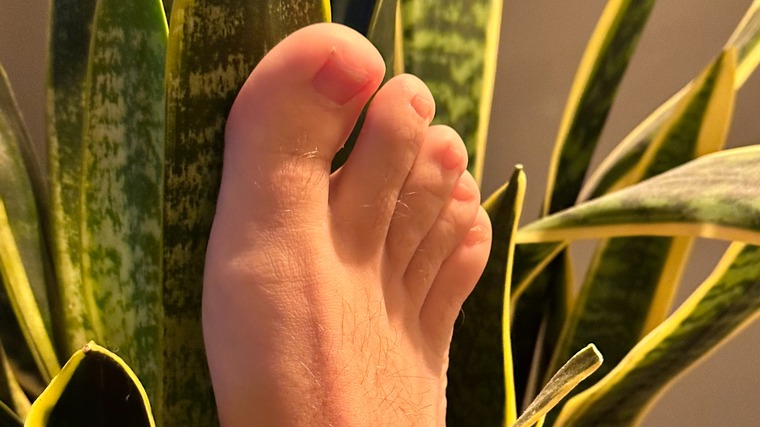 FeetLad cover image