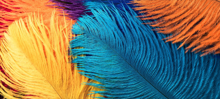 ILoveMyFeet cover image