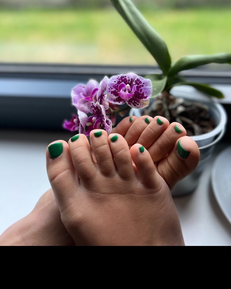 feetmycat cover image