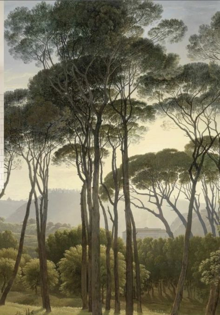 Ivanka Domix cover image