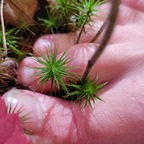 Feet Nature avatar