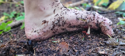 Feet Nature cover image