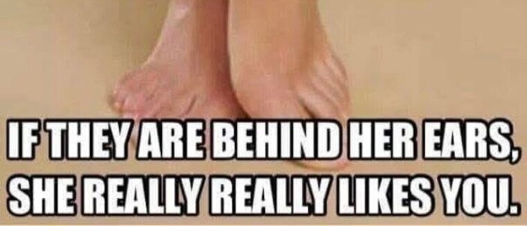 Feet of HotWife cover image